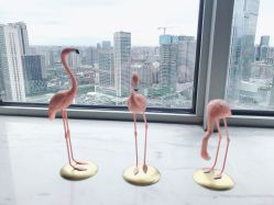 -汐月Health纤体spa中心