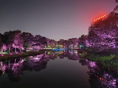 -万泉公园