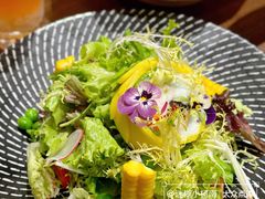 -山葵家·创意料理(宁波来福士店)