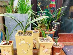 -Rabbit Cafe私房西餐甜点咖啡(栖霞路店)