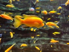 -多彩贵州城极地海洋世界