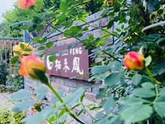 -凤来栖·净庭院·火锅(欧尚店)