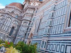 -圣母百花大教堂穹顶