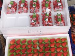 -岳各庄批发市场(西四环中路店)