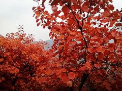 -周口店坡峰岭风景区
