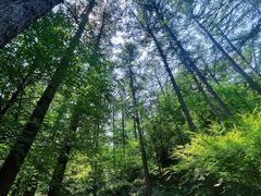 -崂山九水游览区
