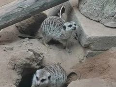 -昆明动物园
