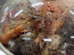 -争先鲜·蒸汽海鲜自助·鲜切牛肉