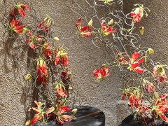 -小核桃烤肉馆(西塔店)