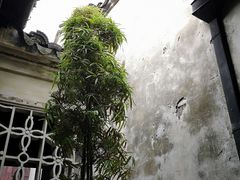 -周庄古镇景区-双桥