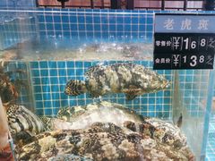 -庆赫隆融合菜馆(群力店)