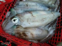 -龙溪海鲜酒家(溪涌店)