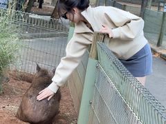 -费瑟代尔野生动物园