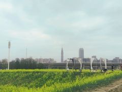 -白鹭湾湿地公园