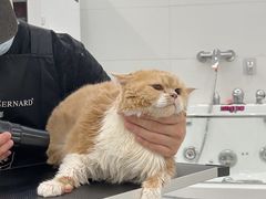 -comecome来吧宠物(奥克斯中心店)