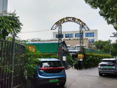 -曲阳花鸟市场(曲阳路店)