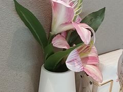 -船歌·鱼水饺青岛菜(太阳宫凯德MALL店)
