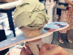 -野人先生现做冰淇淋(西安赛格店)