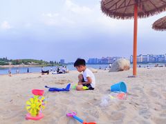 -九龙湖公园