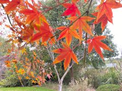 -昆山城市生态森林公园