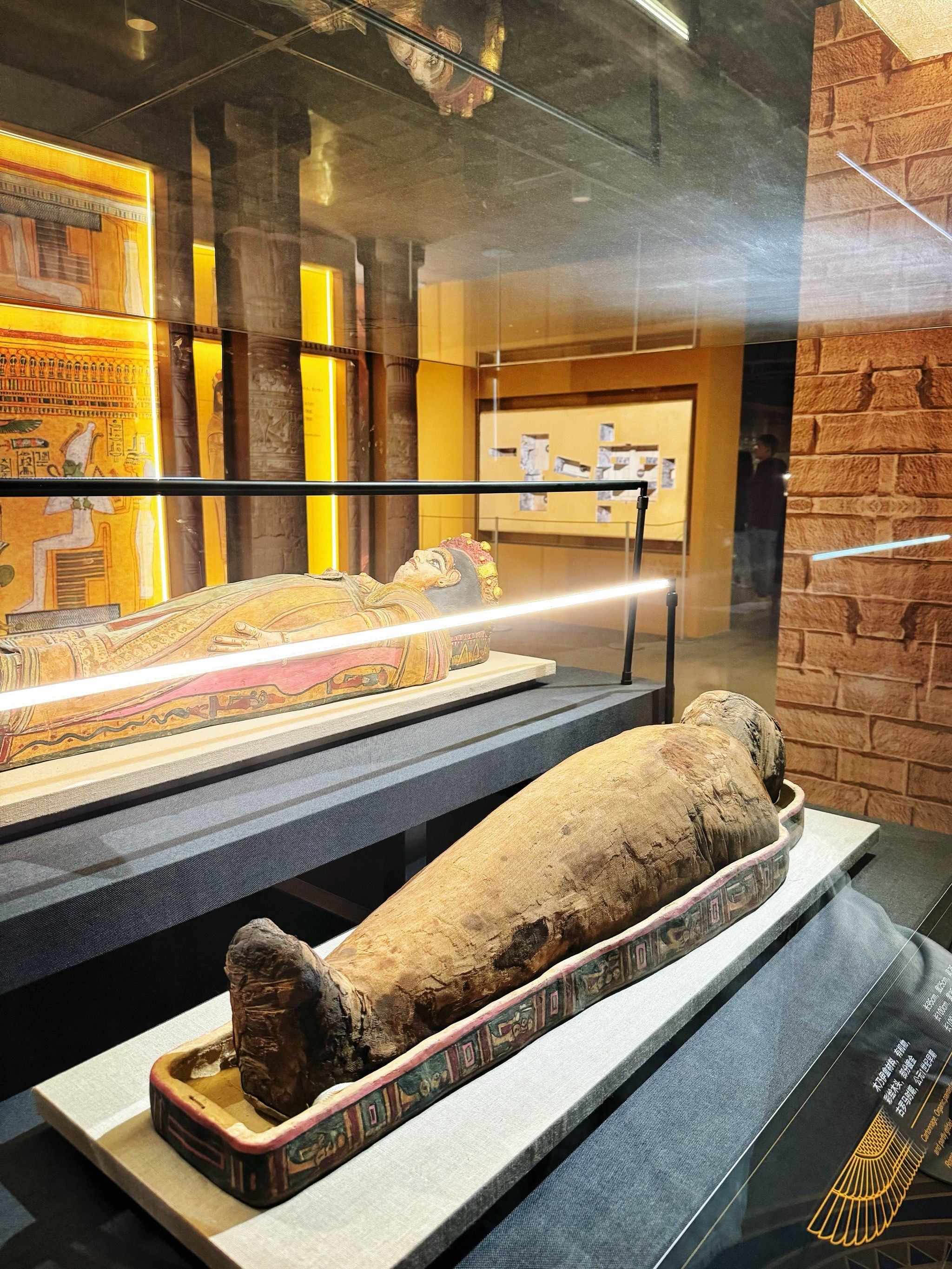 期待已久的埃及木乃伊展览终于登陆北京啦!