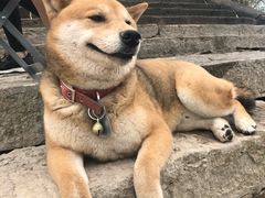 -仙海旅游度假区