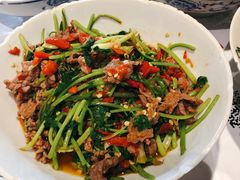-壹盏灯(惠农店)