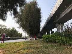 -宝安西湾红树林湿地公园