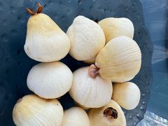 -东郊椰林