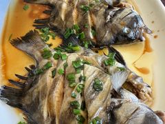 石鲷-魚當家