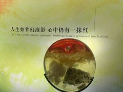 -上海琉璃艺术博物馆