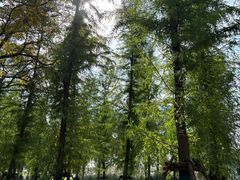 -嘉北郊野公园
