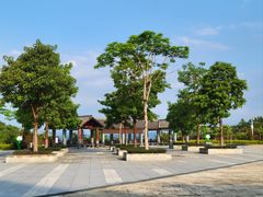 -广州白江湖森林公园