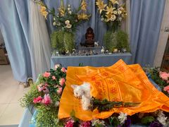 -彩虹桥宠物火化殡葬善终服务(金乐大厦店)