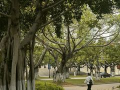 -厦门大学(思明校区)
