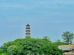 -江心屿景区