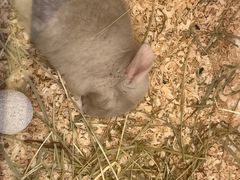 -龙猫仔乐园(惠福东路店)