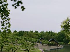 -乌村