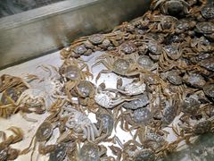 -欢乐牧场海鲜烤肉自助(牡丹园店)