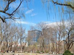 -玲珑塔公园