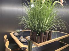 -鹿鸣山草本茶香火锅(园西路店)
