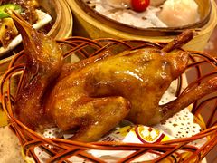 乳鸽-点都德(大茶楼店)