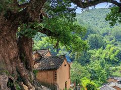 -杨家堂村