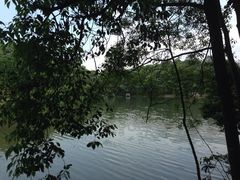 iphone_upload_pic-广州市石门国家森林公园