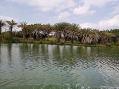 -迪茵湖田家舍生态农场