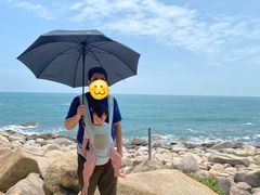 -广东惠东海龟国家级自然保护区