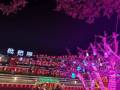 -枇杷园食为鲜火锅(南山店)
