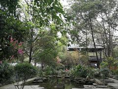 -成都市活水公园