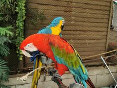 -陕西自然博物馆