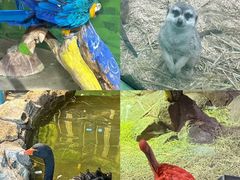 -海合安武汉极地海洋公园